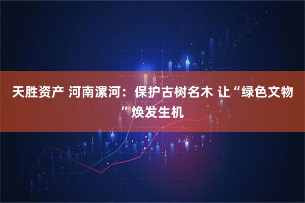 天胜资产 河南漯河：保护古树名木 让“绿色文物”焕发生机